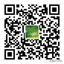 篮球专项力量训练课计划怎么写_2