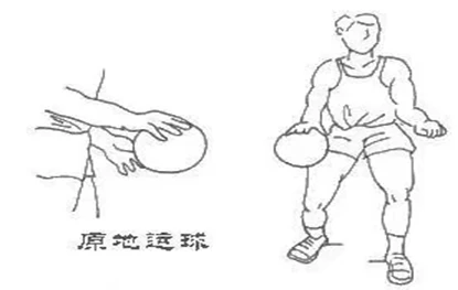 初级班篮球10天训练计划_1