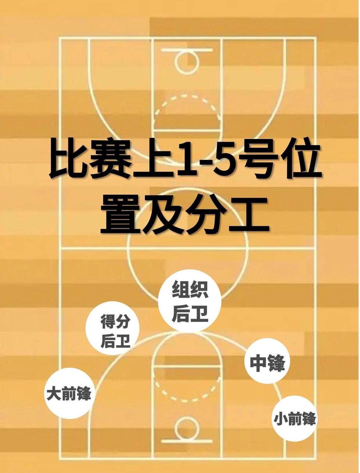 为什么评估对篮球运动员的职业发展至关重要